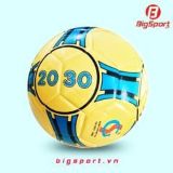 Chi tiết bề mặt bóng Geru Star 2030 dán