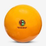 Chi tiết bóng chuyền hơi Động Lực Jatan JT-300 300g