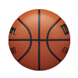 Bóng rổ Wilson Evolution WTB0516XB góc mặt sau