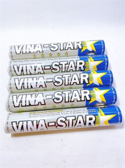 Cầu Lông Vina-Star Bạc VNS23C ống 12 quả