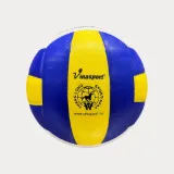 Bóng chuyền Thăng Long VB7700 - mặt logo